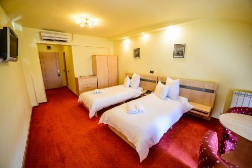 Hotel Clipa - 343