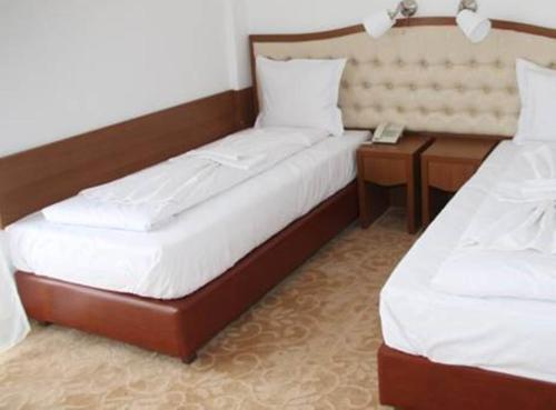 Hotel Condor - 579