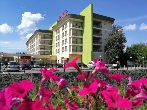 Hotel Covasna - 384