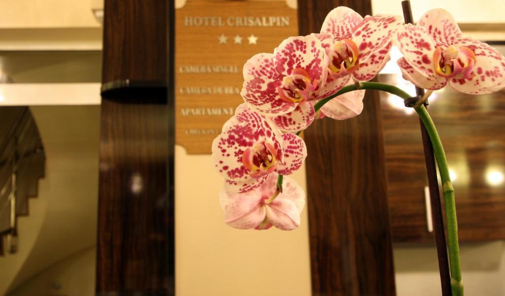 Hotel Crisalpin - 106