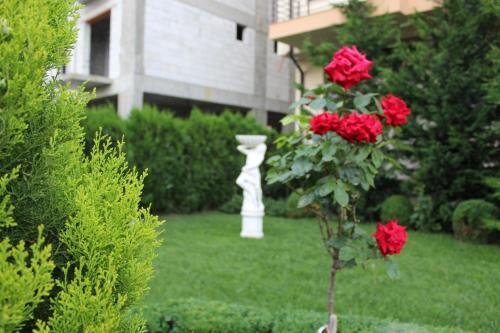 Hotel Cristal - 715