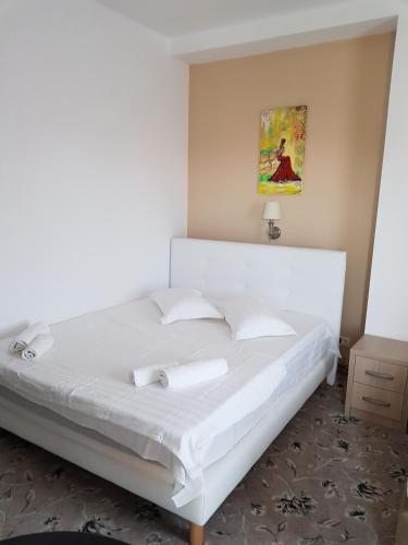 Hotel Cristian - 699
