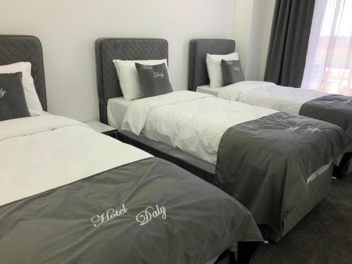 Hotel Daly - 554