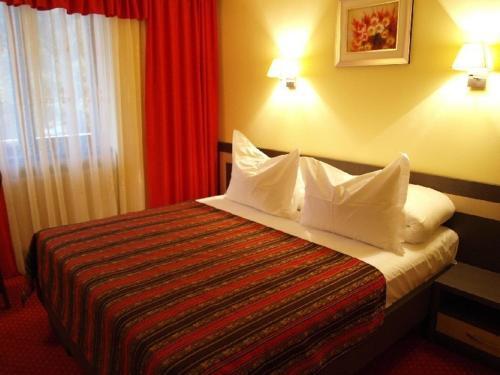 Hotel Dana - 545