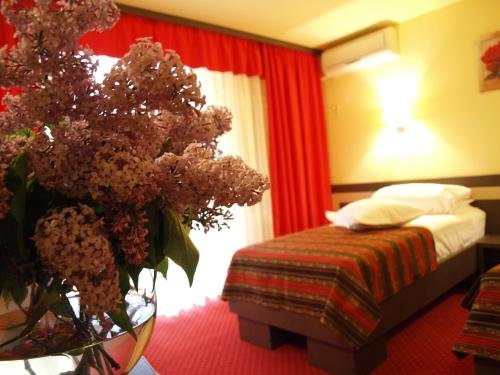Hotel Dana - 535