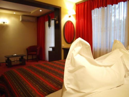 Hotel Dana - 788