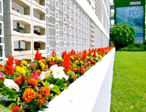 Hotel Decebal Neptun - 851