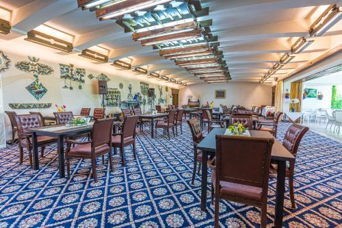 Hotel Doina - 595