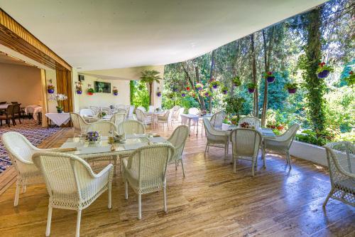 Hotel Doina - 727