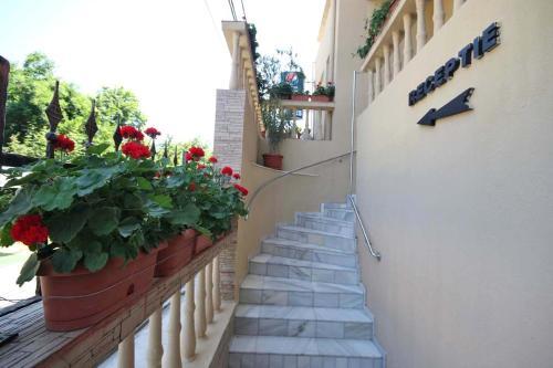 Hotel Dynes - 229