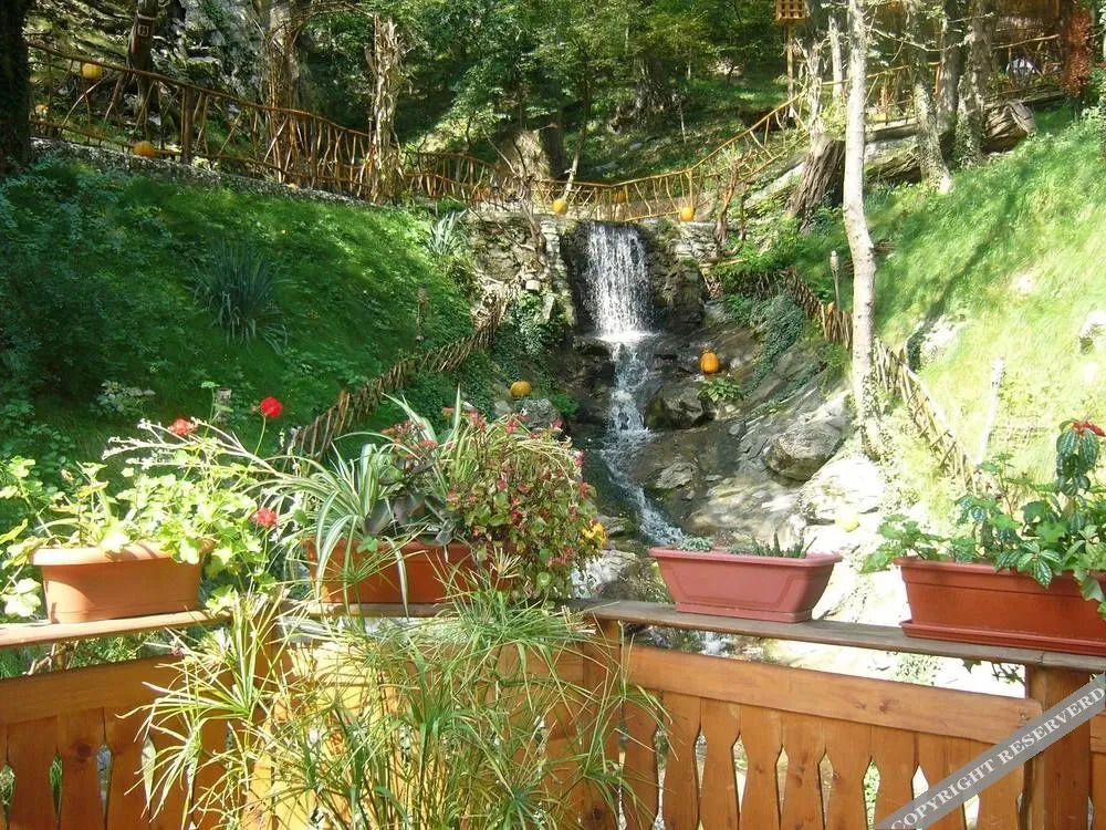 Hotel Ferdinand Baile Herculane - 654