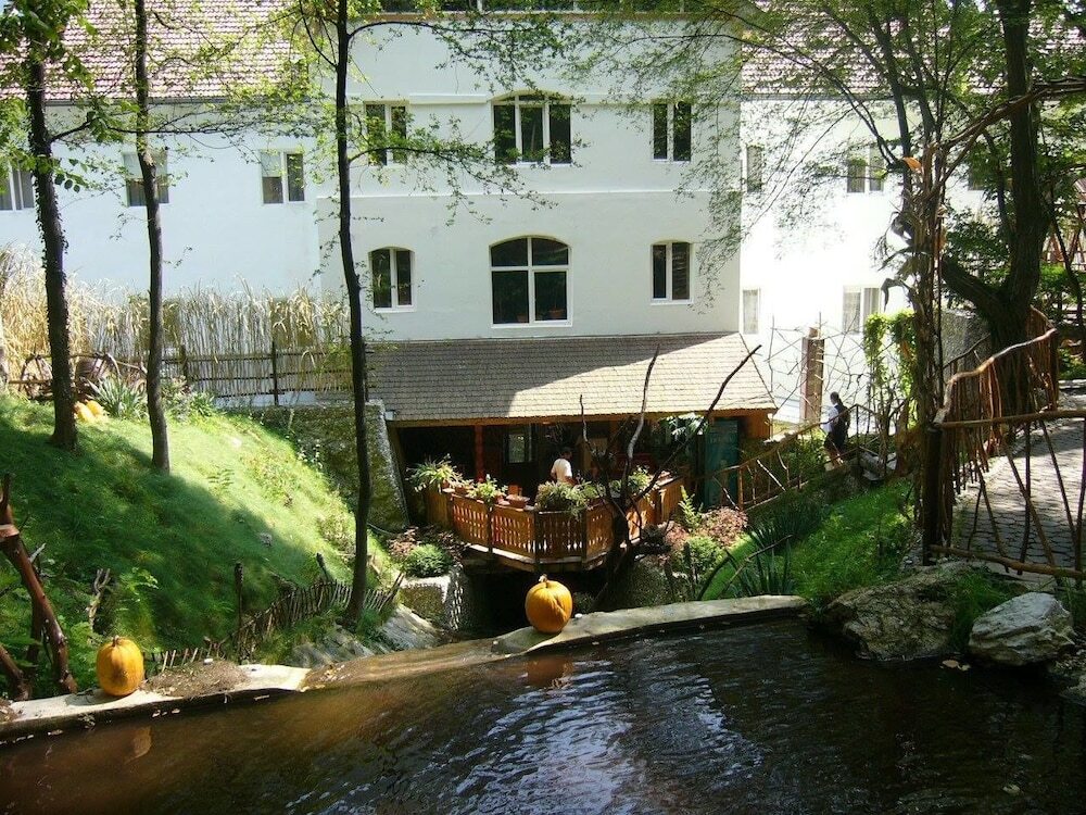 Hotel Ferdinand Baile Herculane - 459