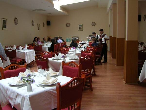 Hotel Ferdinand Baile Herculane - 670