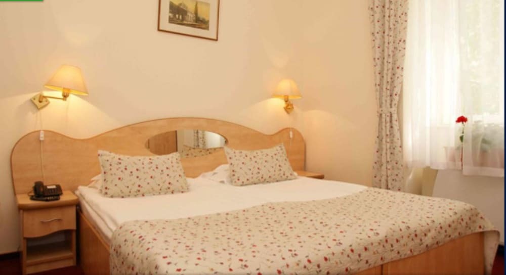 Hotel Ferdinand Baile Herculane - 282