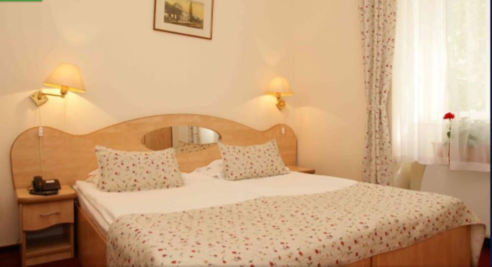 Hotel Ferdinand Baile Herculane - 456