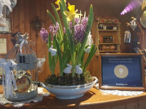 Fortuna Eco Boutique Hotel - 398
