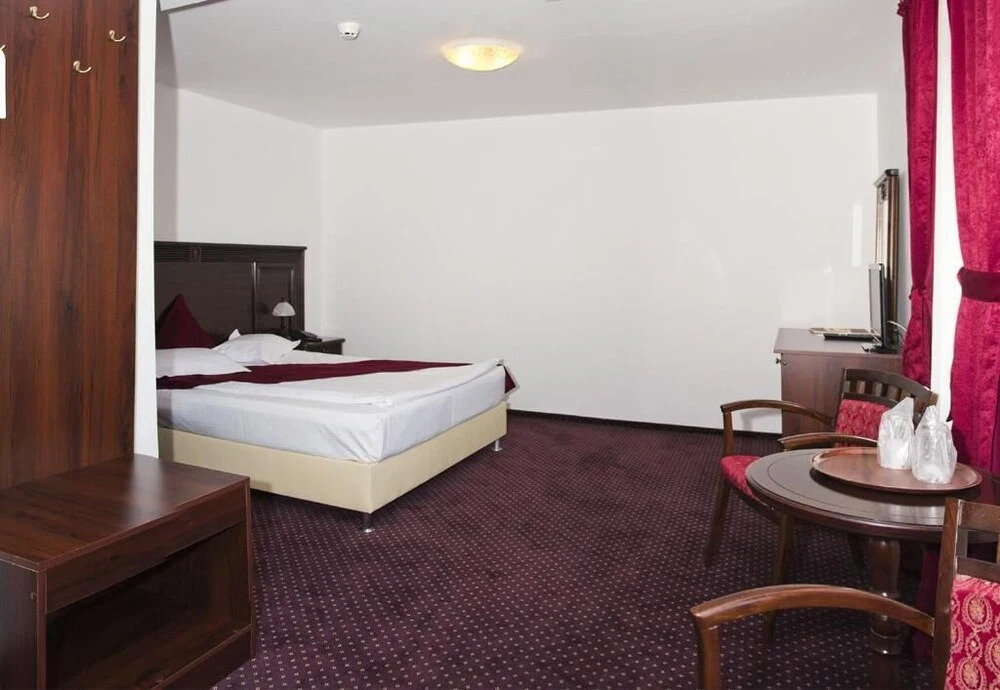 Hotel Hanul Domnesc - 43