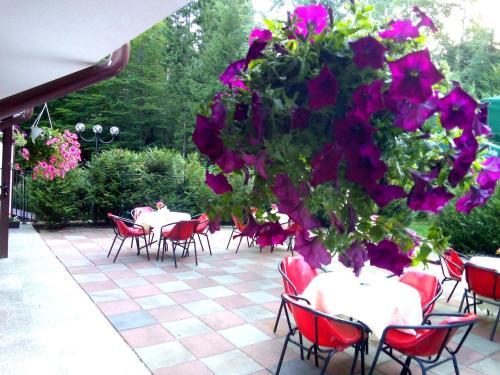 Hotel Hart - 752