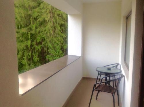 Hotel Hart - 155