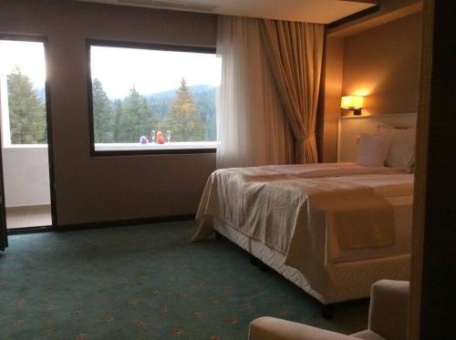 Hotel Hart - 352