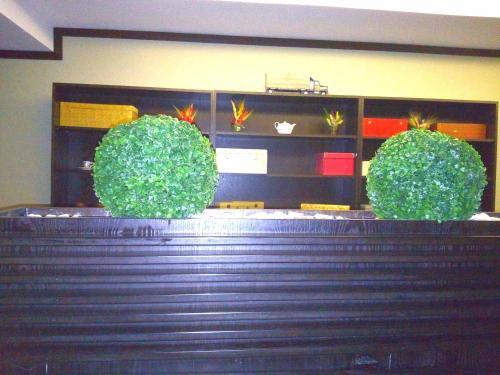 Hotel Hart - 504