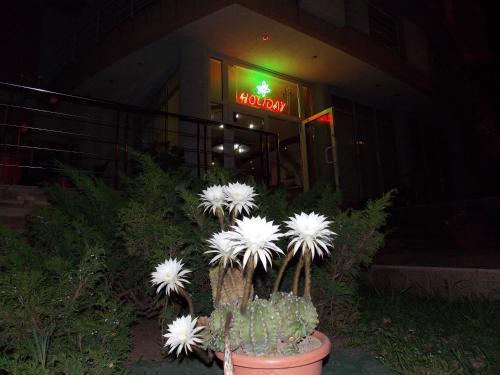 Hotel Holiday - 664