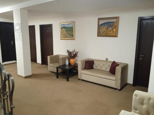 Hotel Ioana - 762