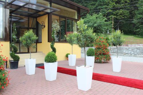 Hotel Lacu Rosu - 153