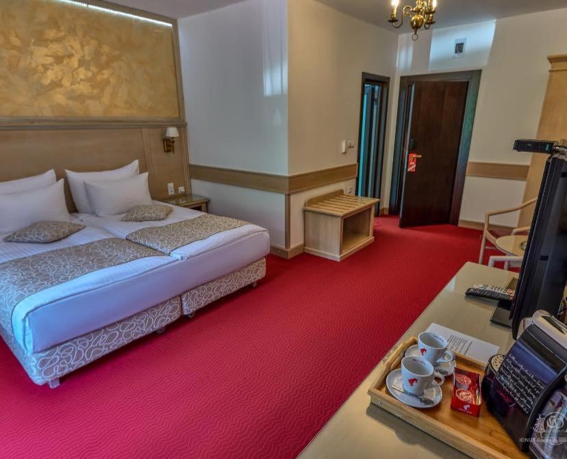 Hotel Lacu Rosu - 131