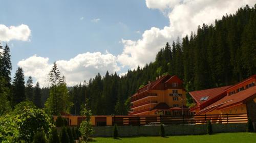 Hotel Lacu Rosu - 118