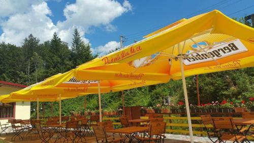 Hotel Larisa Azuga - 986