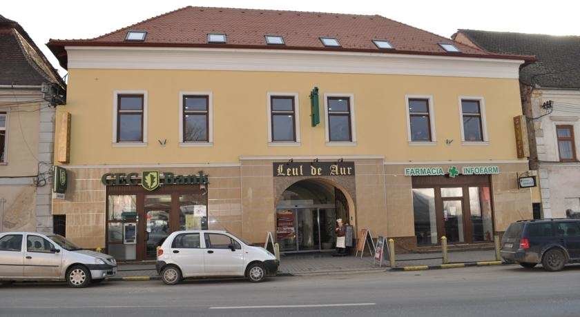 Hotel Leul de Aur - 806