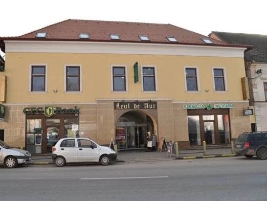 Hotel Leul de Aur - 749