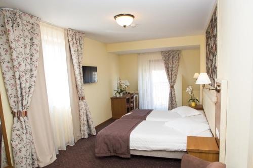 Hotel Leul de Aur - 162