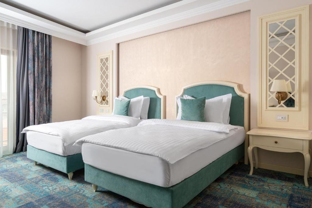 Hotel Leul de Aur - 270