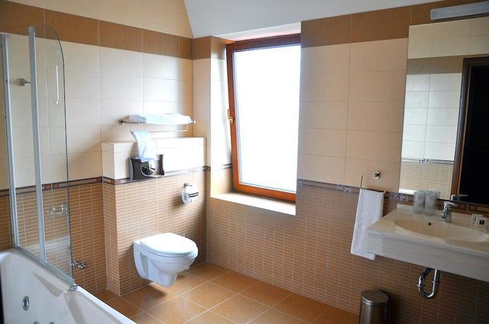 Hotel Leul de Aur - 390