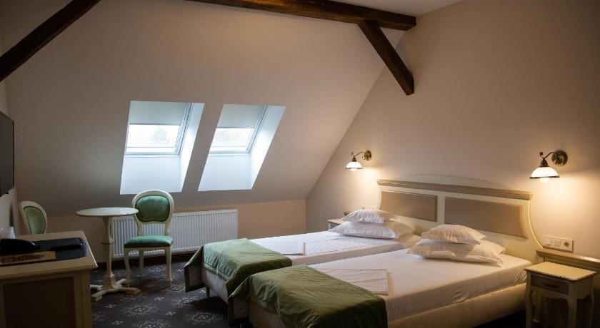 Hotel Leul de Aur - 25