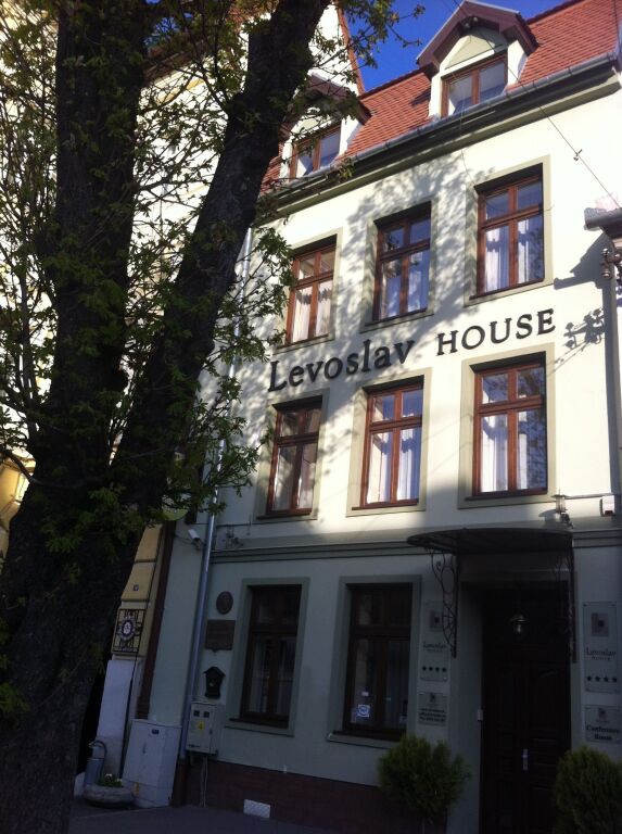Villa Levoslav House - 785