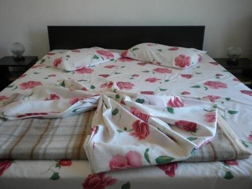Hotel Milcov - 719