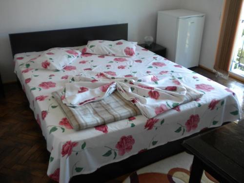 Hotel Milcov - 484