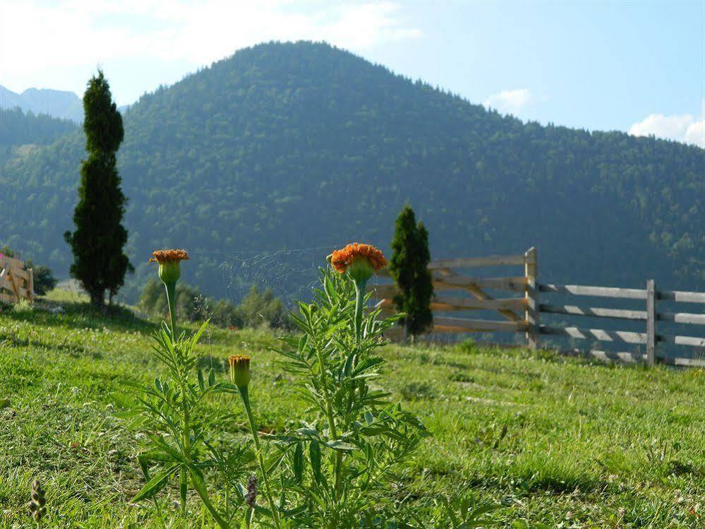Nobillis - Carpathian Residence - 375