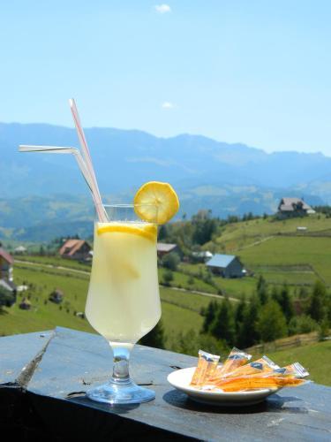 Nobillis - Carpathian Residence - 730