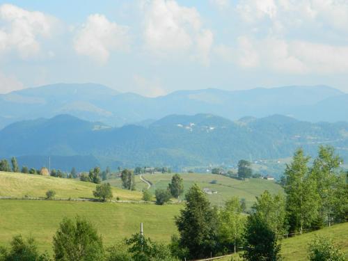Nobillis - Carpathian Residence - 19