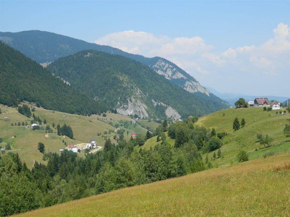 Nobillis - Carpathian Residence - 595