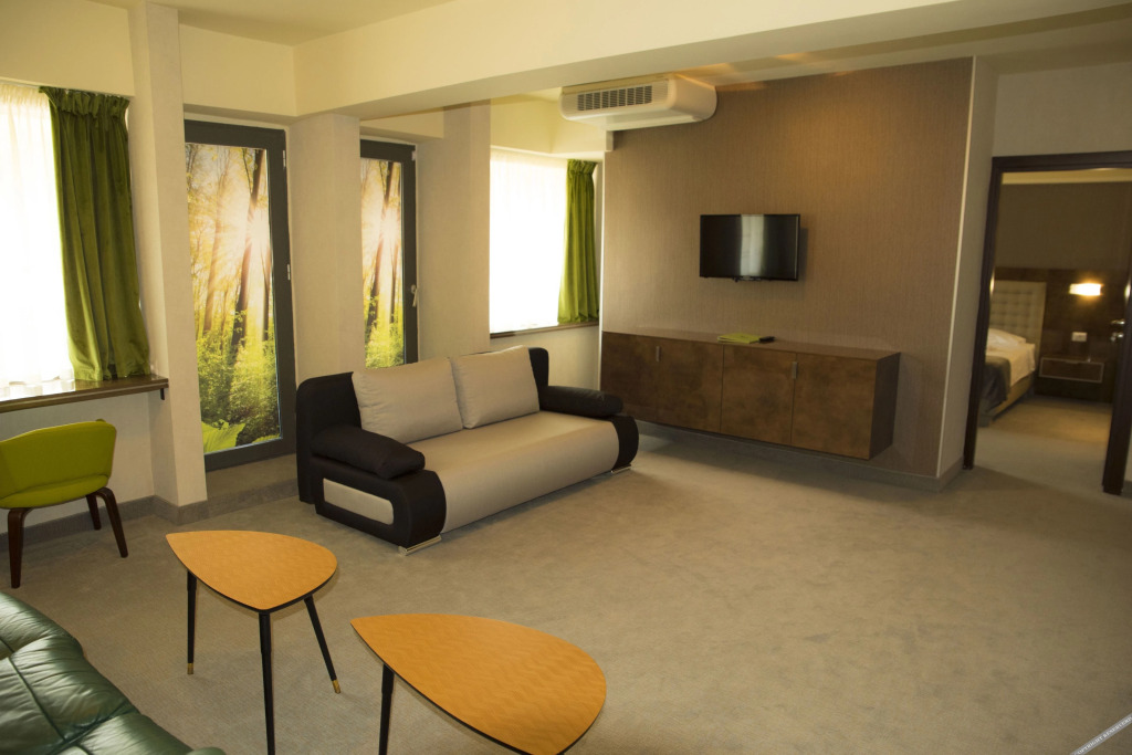 Hotel Olanesti - 339