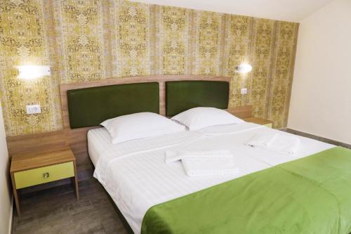 Hotel Olanesti - 43