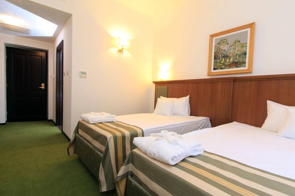 Hotel Palace - 356