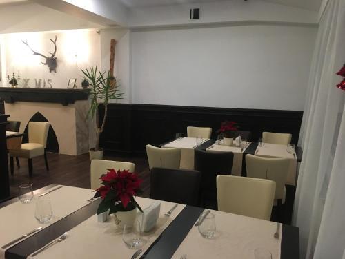 Hotel Pestera - 763