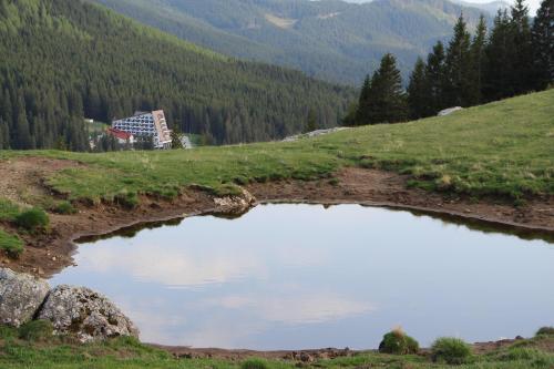 Hotel Pestera - 460