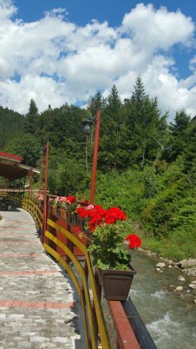 Hotel Pin Azuga - 572